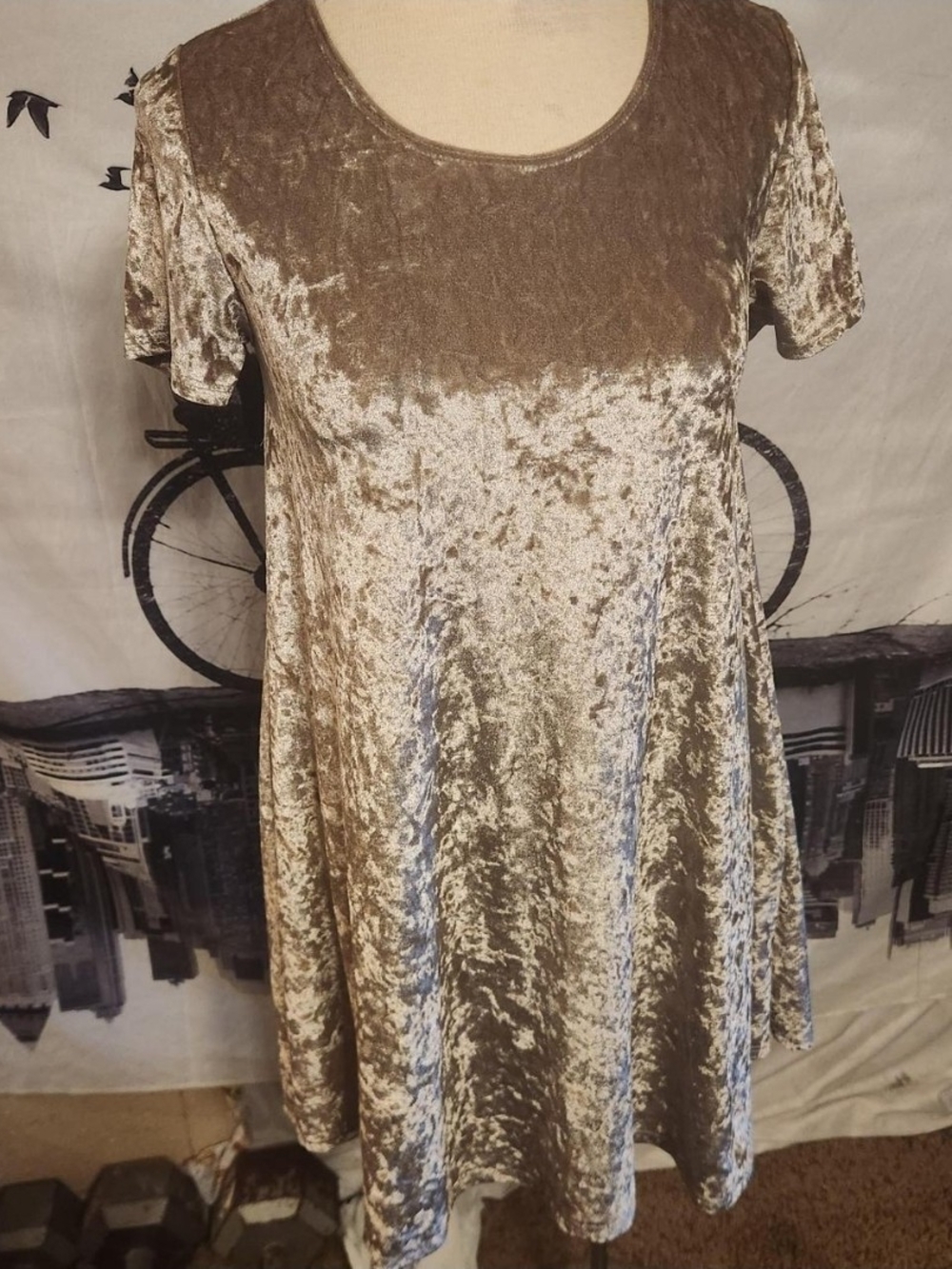 Rolla Coster Crushed Velvet Short Sleeve Swing Dress in Champagne Taupe